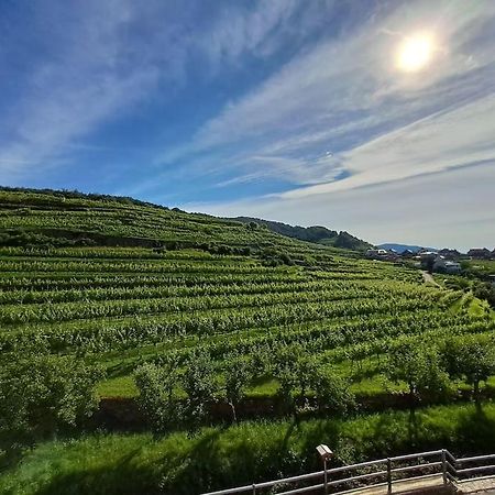 Wohnung In Der Wachau Вайсенкірхен-ін-дер-Вахау Екстер'єр фото